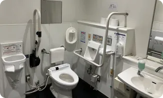 Accessible toilet