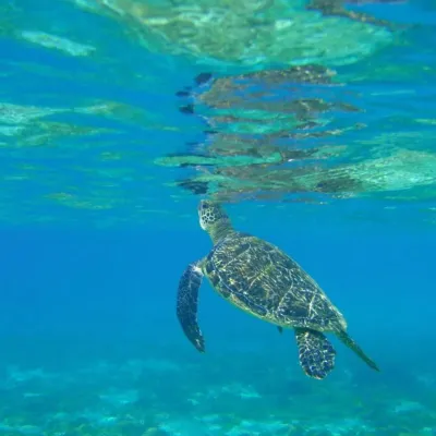 冬も暖かい、人も温かい宮古島へ「んみゃーち！」