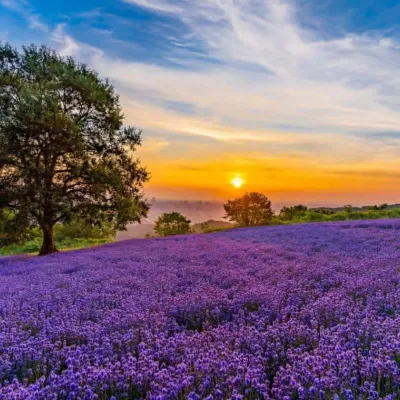 車なしで札幌・小樽をたっぷり観光！2泊3日モデルコース